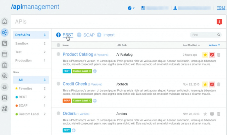 IBM API Management, API Manager, API, API Management, API Manager, IBM, Pragma Edge, Pragmaedge, B2B, B2B solution, application programming interface,